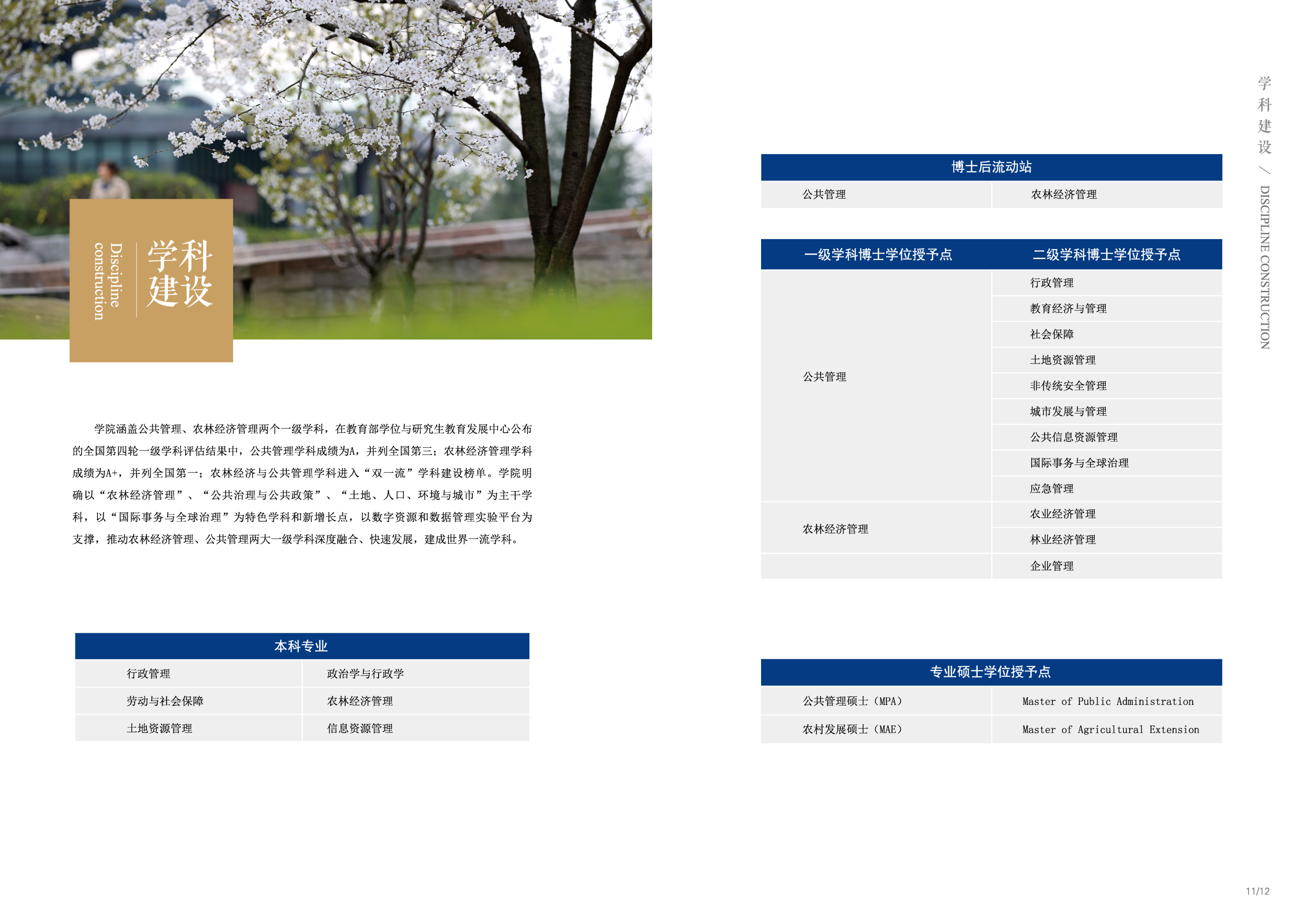 学科建设.png